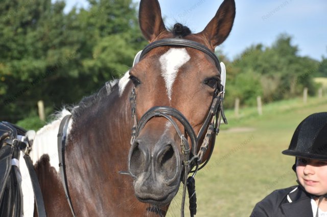 08-04-21_turnier bohm 24.07.2016  7